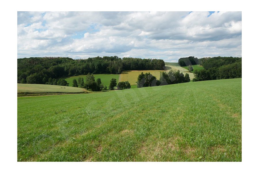 Blick von der Jahnhöhe in den Amselgrund