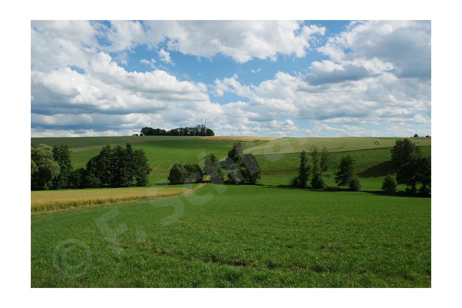 Blick vom Schäferstien zum Amselgrund