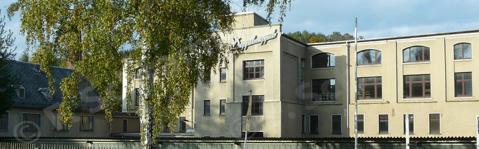 Fabrikgebäude "Doppelmoppel" Köthensdorf-Reitzenhain (2016)