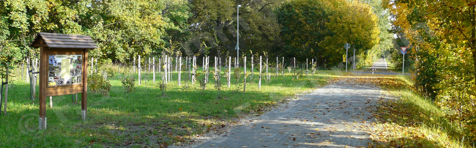 Schautafel am Chemnitztalradweg in Höhe der Heinersdorfer Straße (2016)