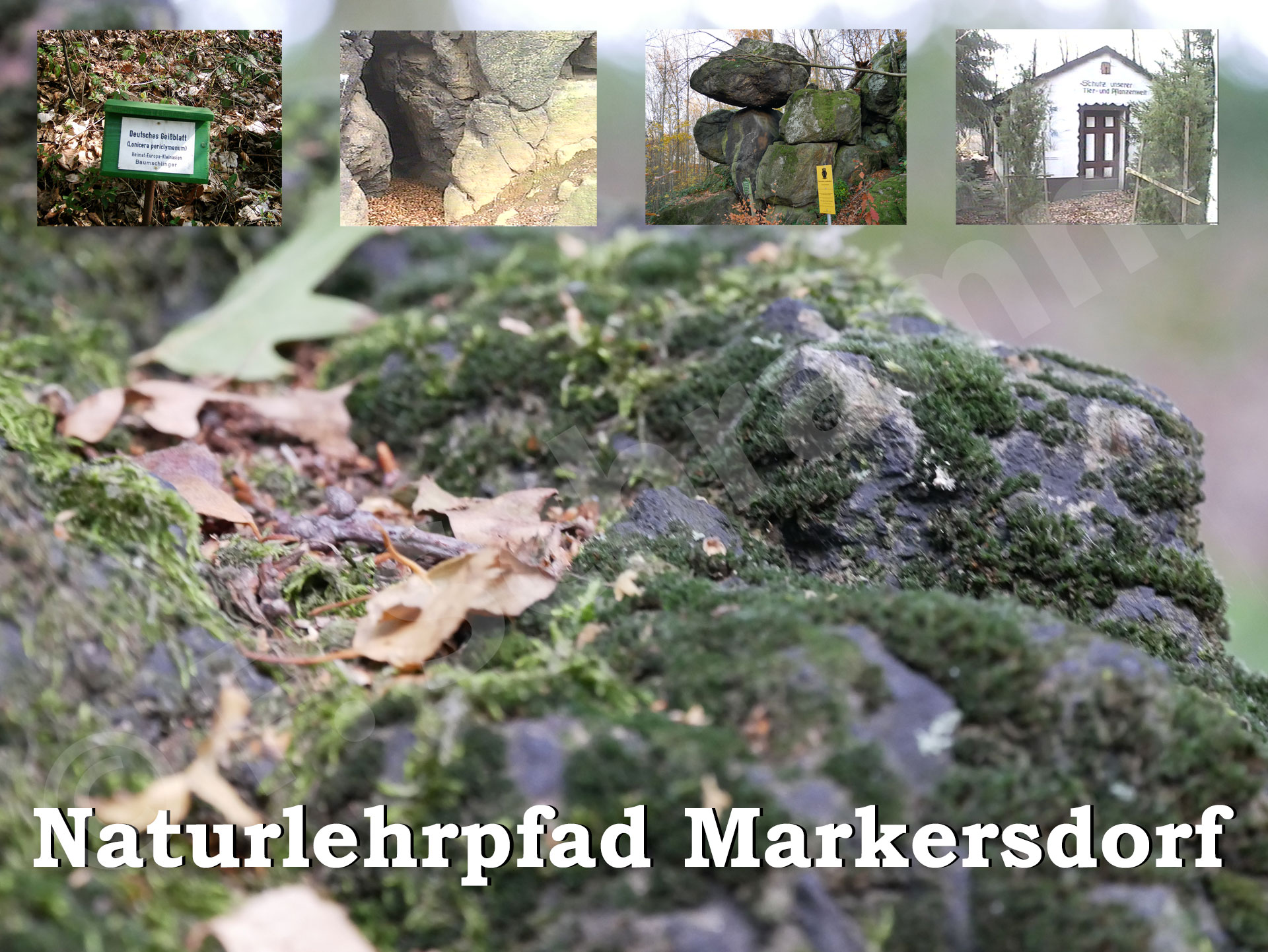 Der Naturlehrpfad Markersdorf