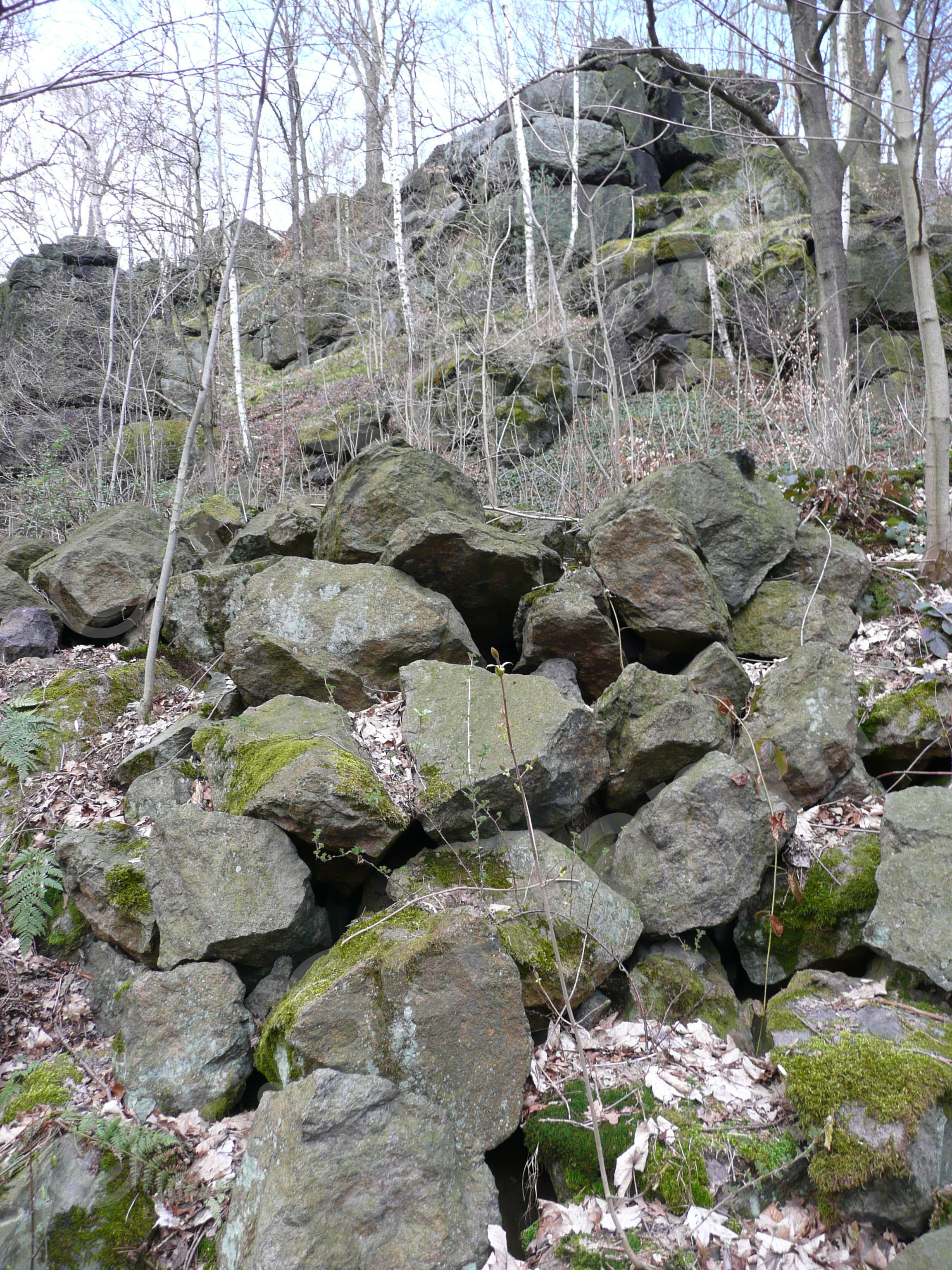 Blick zum Felsmassiv mit der Bärenhöhle 2010