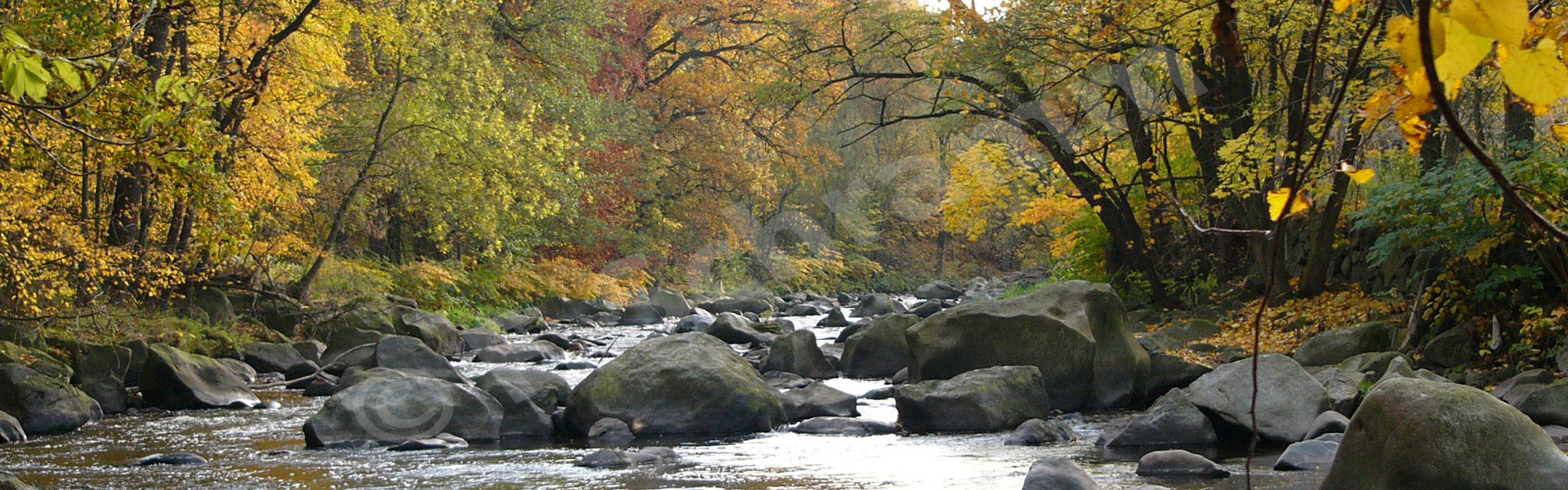 Der Fluss Chemnitz im Herbst 2004