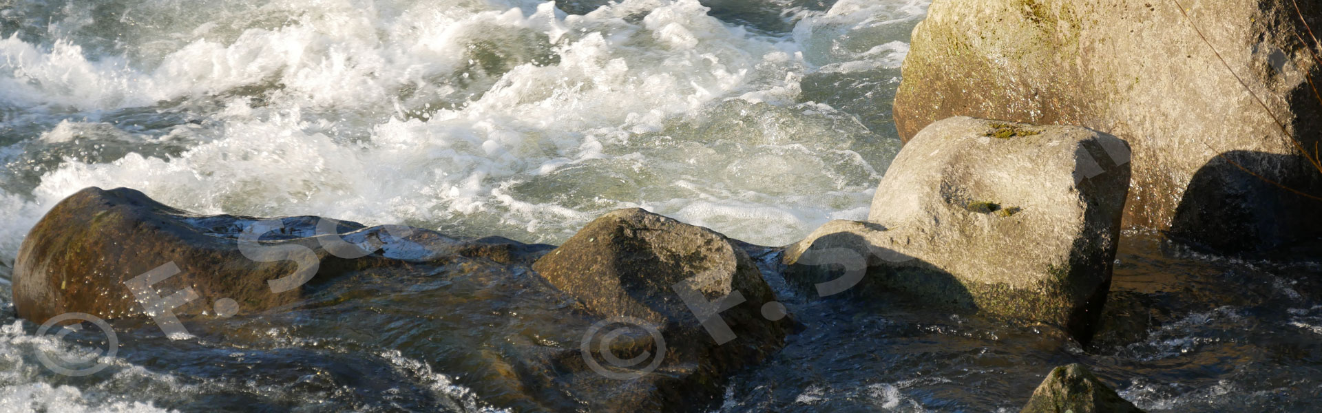 Der Chemnitzfluss bei Schweizerthal (2021)