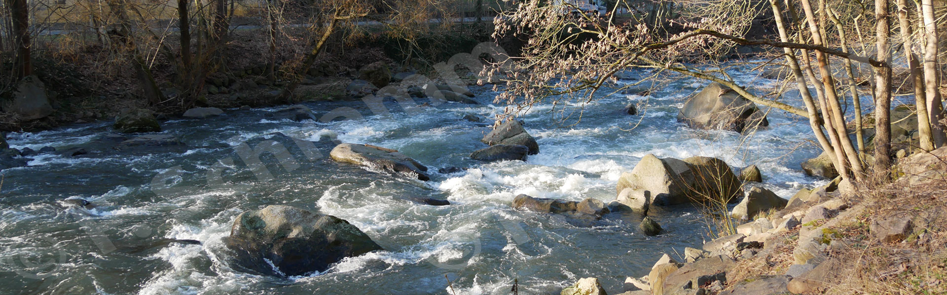 Der Chemnitzfluss bei Schweizertal