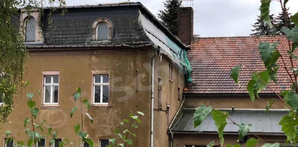 "Schattenseiten" des Carolaparkes - Bilder vom Verfall (2020)